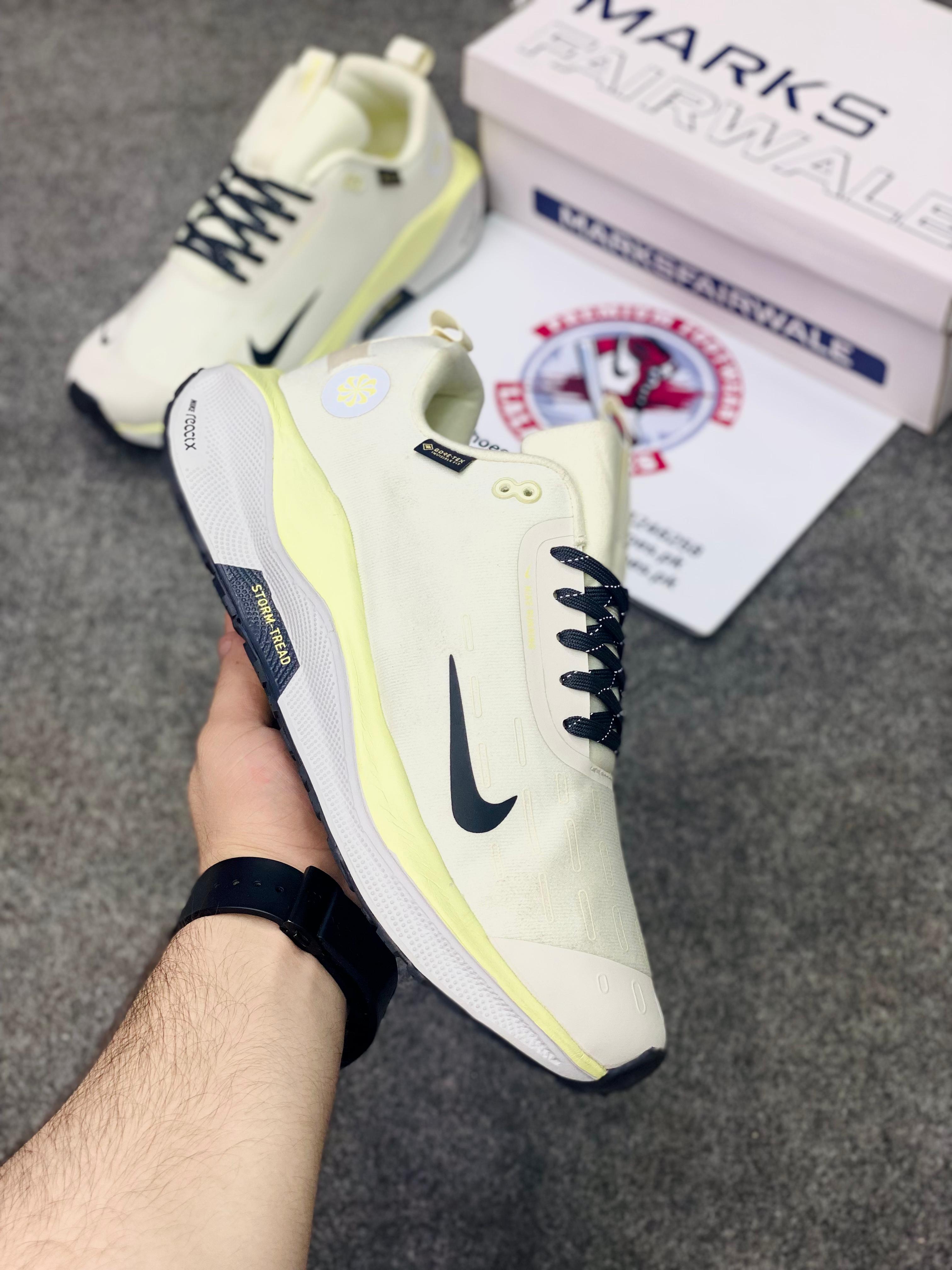 NKE - Infinity RN 4 GORE-TEX0 (Premium Batch 00216)