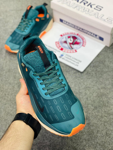 NKE - Infinity RN 4 GORE-TEX0 (Premium Batch00214)