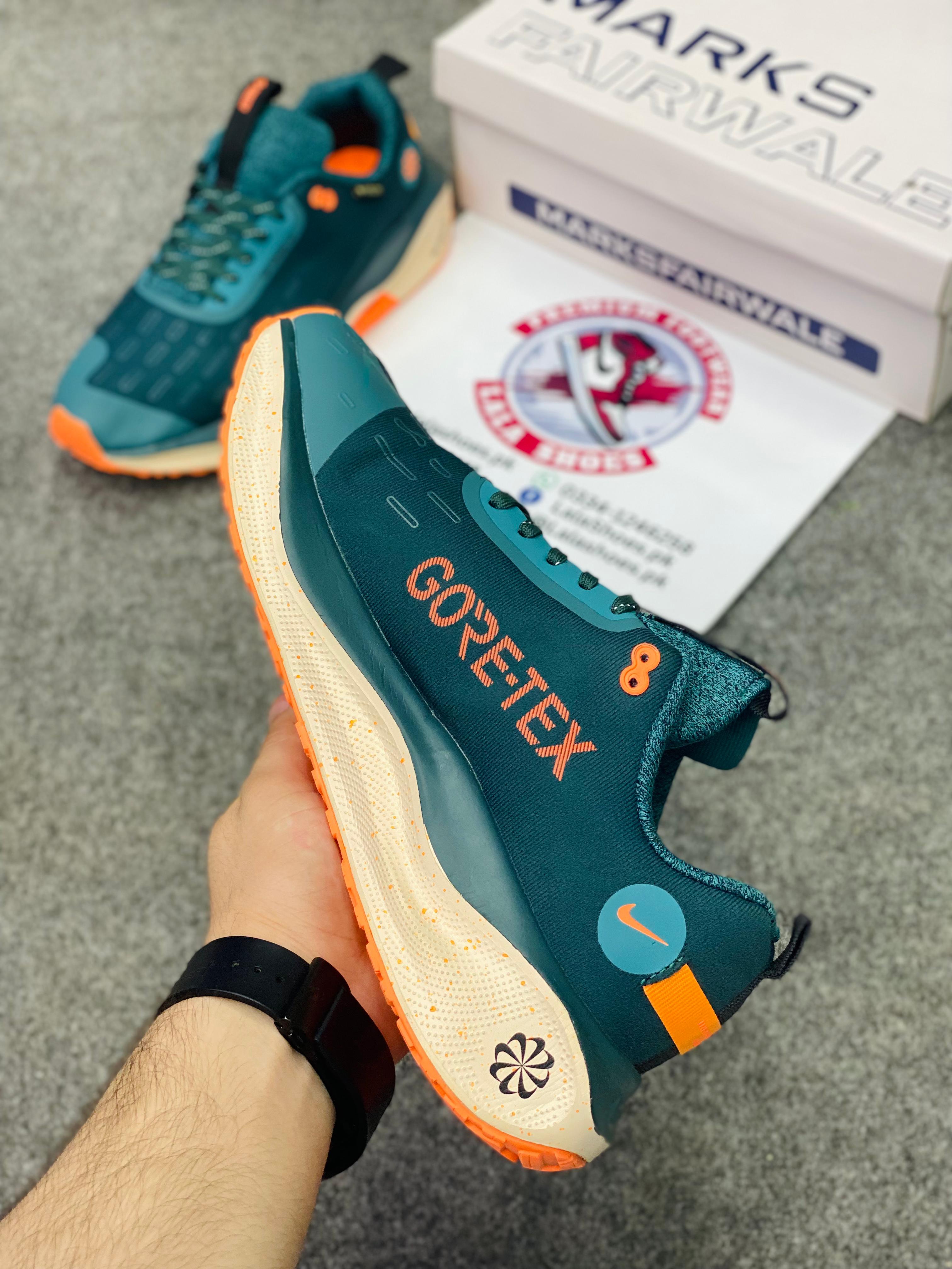 NKE - Infinity RN 4 GORE-TEX0 (Premium Batch00214)