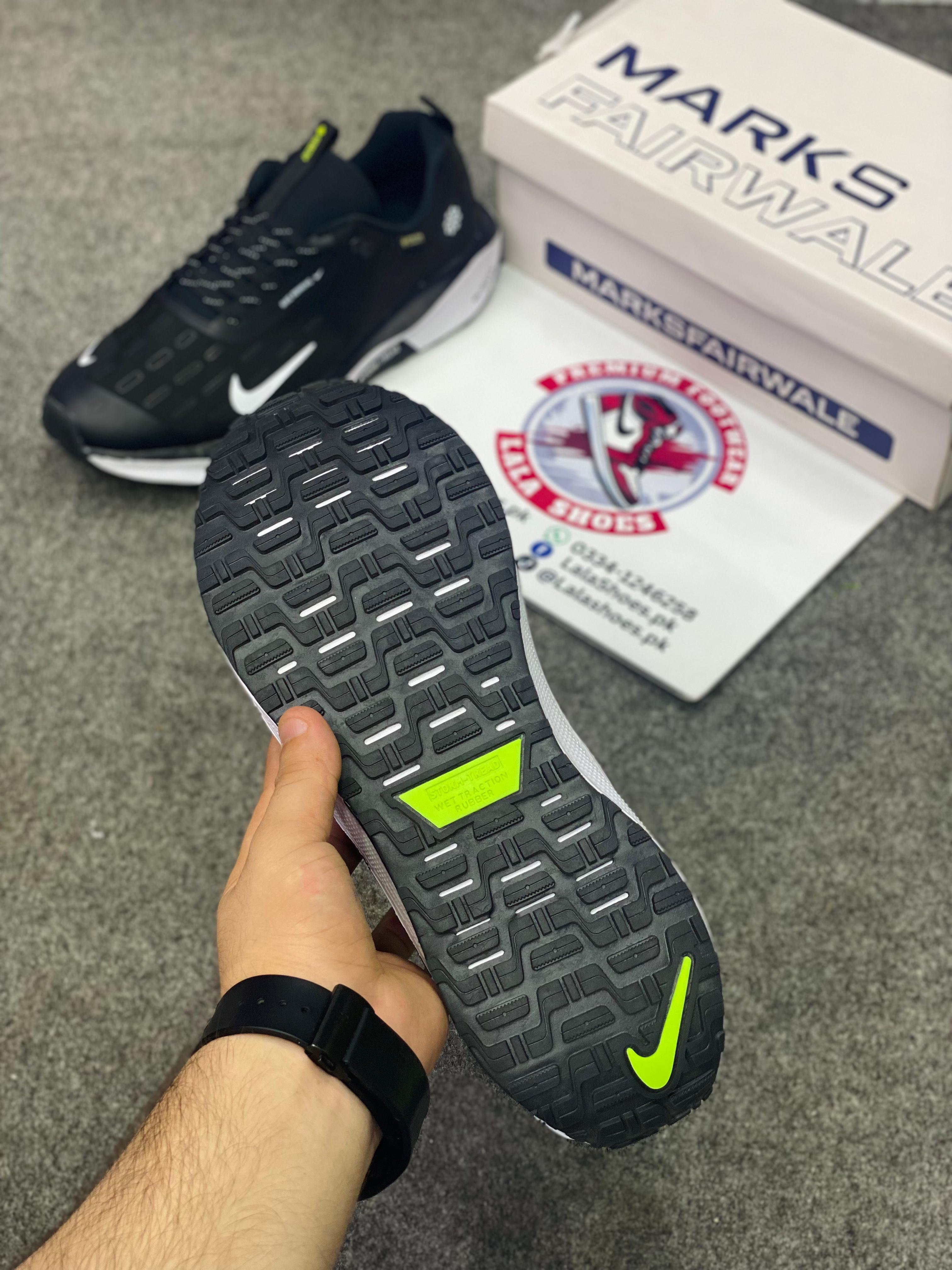 NKE - Infinity RN 4 GORE-TEX0 (Premium Batch 00213)