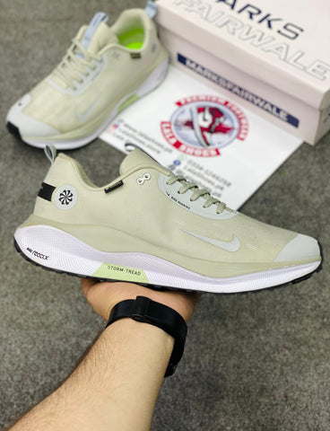 NKE - Infinity RN 4 GORE-TEX0 (Premium Batch 00217)