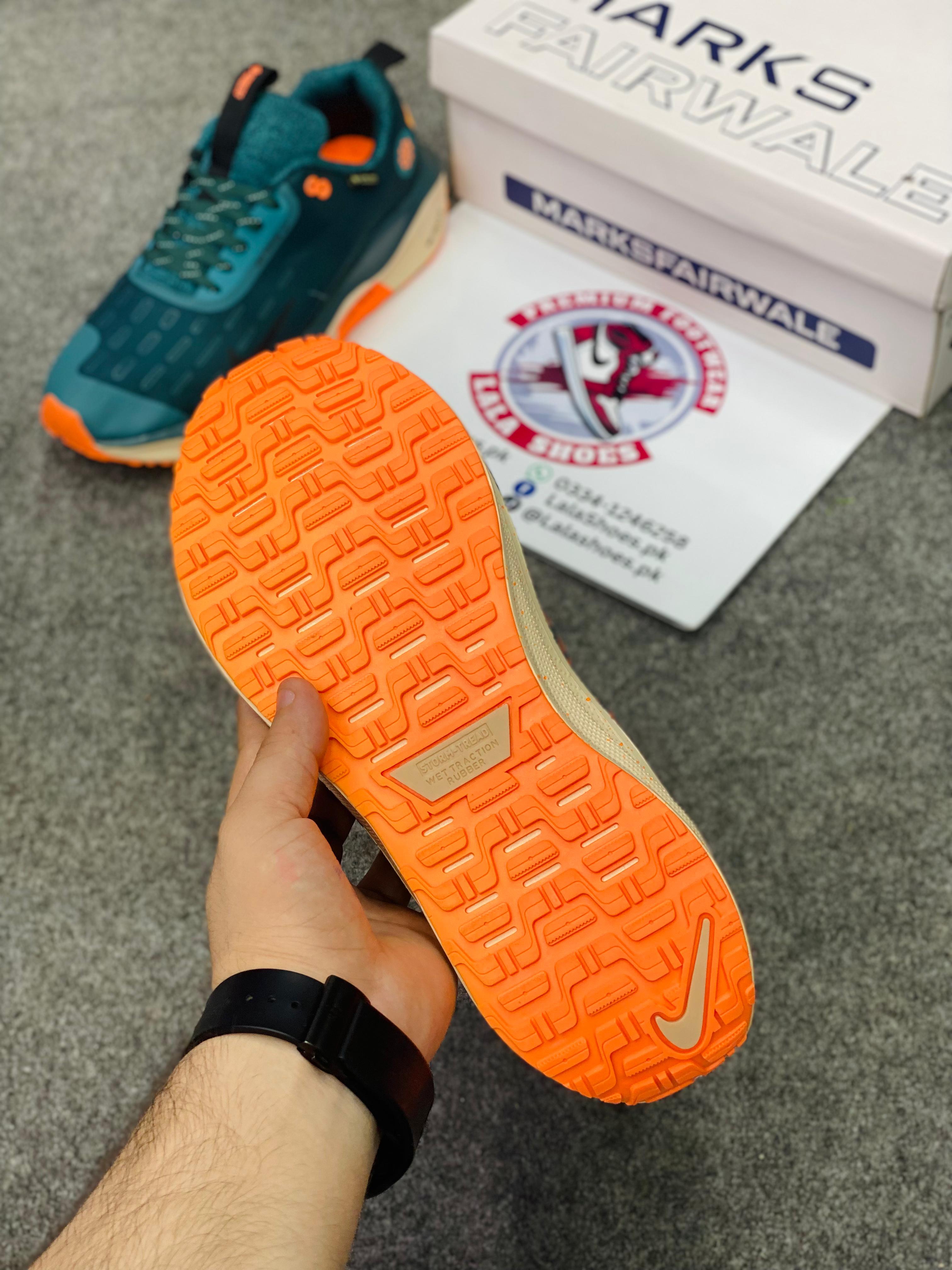 NKE - Infinity RN 4 GORE-TEX0 (Premium Batch00214)